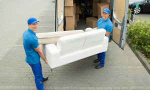Removalists Dee Why